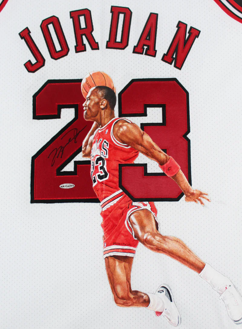 Bulls Michael Jordan Signed William Zavala Hand Painted M&N Framed Jersey UDA - Image 2