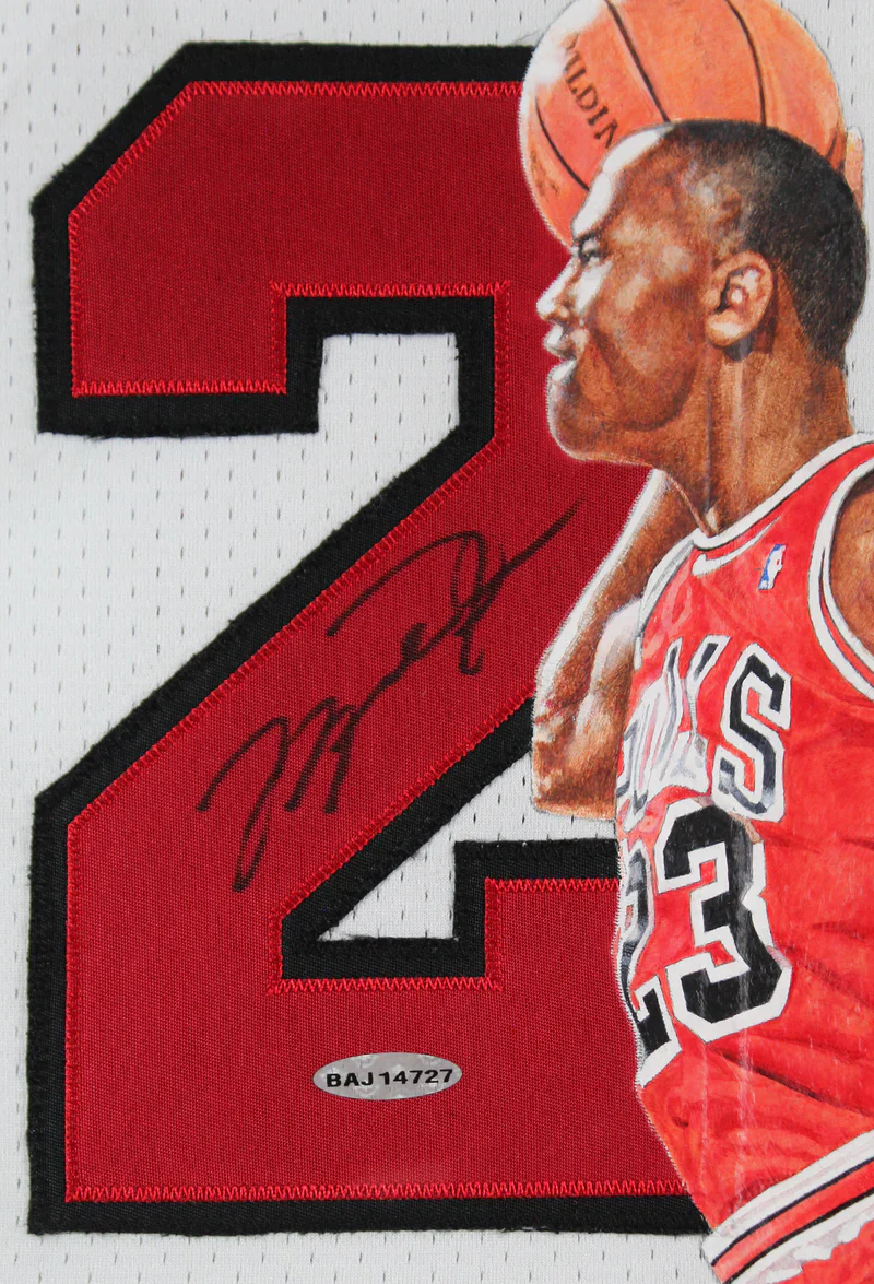 Bulls Michael Jordan Signed William Zavala Hand Painted M&N Framed Jersey UDA - Image 3