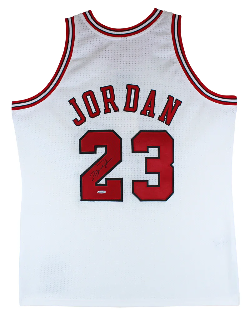 Bulls Michael Jordan Signed William Zavala Hand Painted M&N Framed Jersey UDA - Image 4